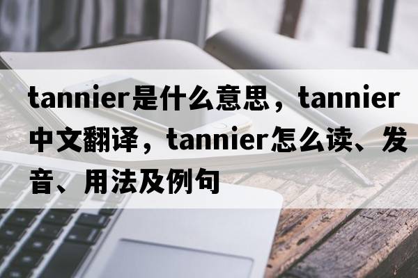 tannier是什么意思，tannier中文翻譯，tannier怎么讀、發(fā)音、用法及例句