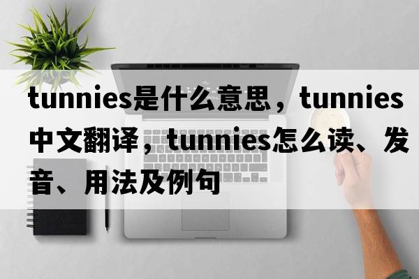 tunnies是什么意思，tunnies中文翻譯，tunnies怎么讀、發(fā)音、用法及例句
