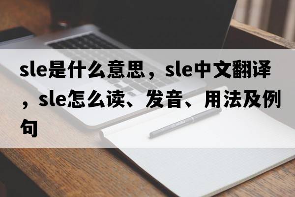 sle是什么意思，sle中文翻譯，sle怎么讀、發(fā)音、用法及例句