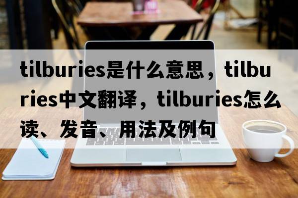 tilburies是什么意思，tilburies中文翻譯，tilburies怎么讀、發(fā)音、用法及例句