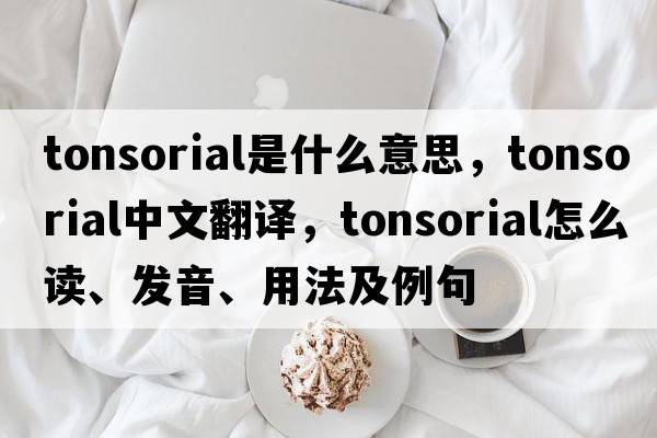 tonsorial是什么意思，tonsorial中文翻譯，tonsorial怎么讀、發(fā)音、用法及例句
