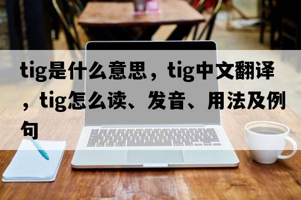 tig是什么意思，tig中文翻譯，tig怎么讀、發(fā)音、用法及例句