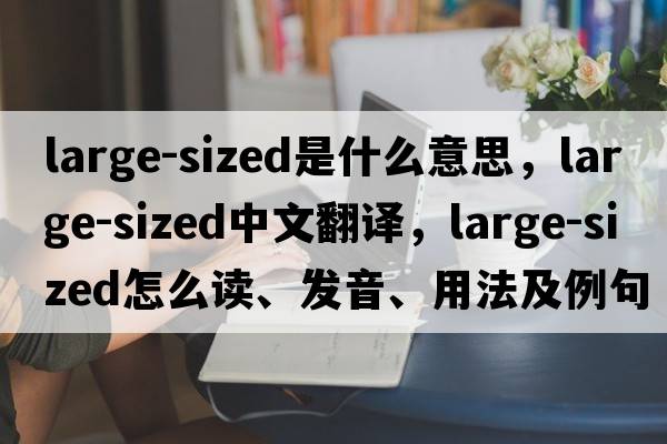 large-sized是什么意思，large-sized中文翻譯，large-sized怎么讀、發(fā)音、用法及例句