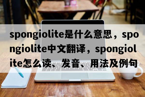 spongiolite是什么意思，spongiolite中文翻譯，spongiolite怎么讀、發(fā)音、用法及例句