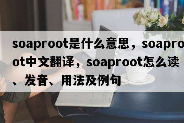 soaproot是什么意思，soaproot中文翻譯，soaproot怎么讀、發(fā)音、用法及例句