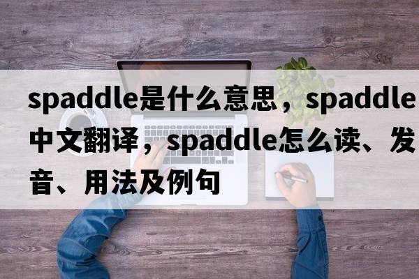spaddle是什么意思，spaddle中文翻譯，spaddle怎么讀、發(fā)音、用法及例句