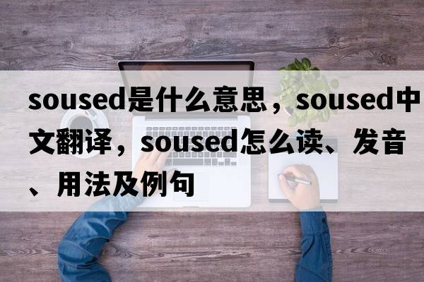 soused是什么意思，soused中文翻譯，soused怎么讀、發(fā)音、用法及例句