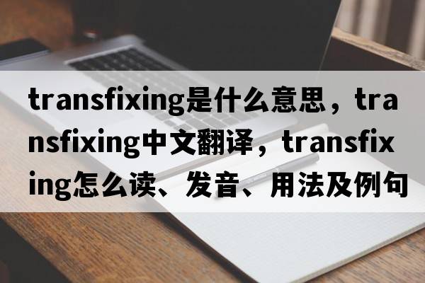transfixing是什么意思，transfixing中文翻譯，transfixing怎么讀、發(fā)音、用法及例句