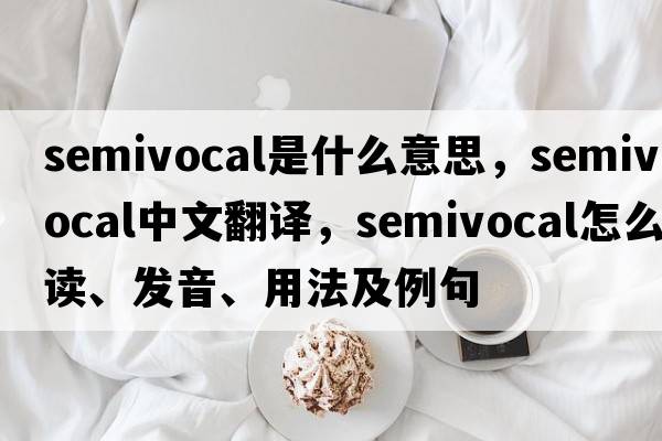 semivocal是什么意思，semivocal中文翻譯，semivocal怎么讀、發(fā)音、用法及例句
