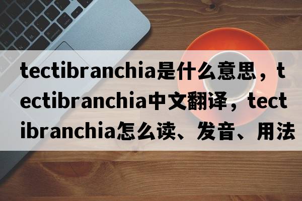 Tectibranchia是什么意思，Tectibranchia中文翻譯，Tectibranchia怎么讀、發(fā)音、用法及例句