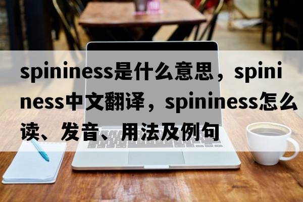 spininess是什么意思，spininess中文翻譯，spininess怎么讀、發(fā)音、用法及例句