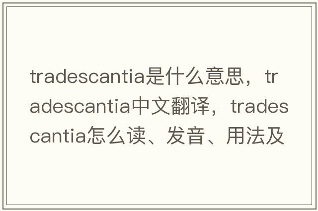 tradescantia是什么意思，tradescantia中文翻譯，tradescantia怎么讀、發(fā)音、用法及例句