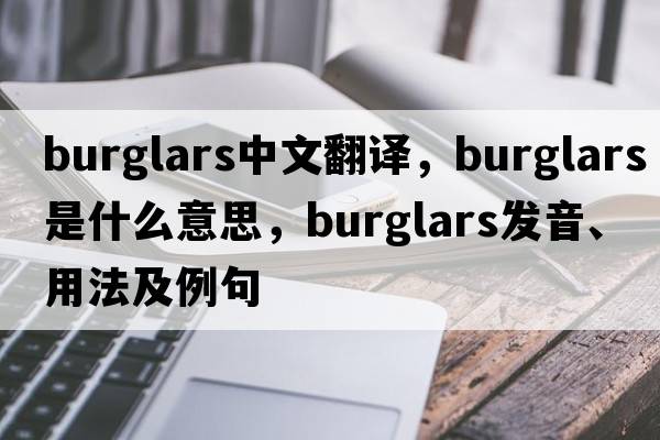 burglars中文翻譯，burglars是什么意思，burglars發(fā)音、用法及例句