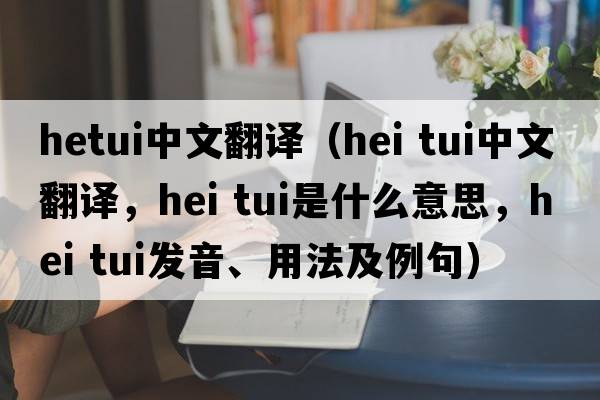 hetui中文翻譯（hei tui中文翻譯，hei tui是什么意思，hei tui發(fā)音、用法及例句）