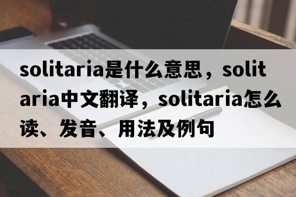 solitaria是什么意思，solitaria中文翻譯，solitaria怎么讀、發(fā)音、用法及例句