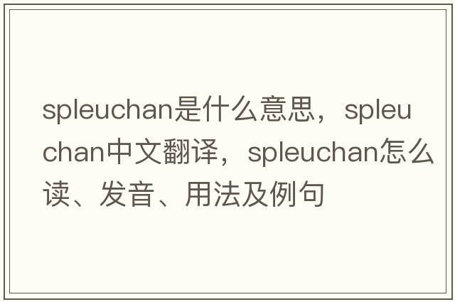 spleuchan是什么意思，spleuchan中文翻譯，spleuchan怎么讀、發(fā)音、用法及例句