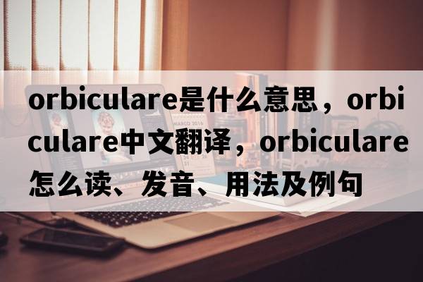 orbiculare是什么意思，orbiculare中文翻譯，orbiculare怎么讀、發(fā)音、用法及例句