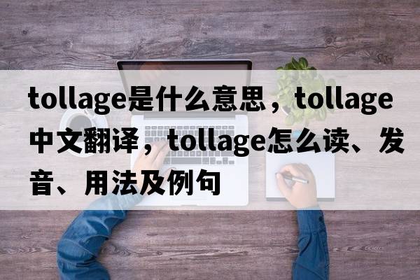 tollage是什么意思，tollage中文翻譯，tollage怎么讀、發(fā)音、用法及例句