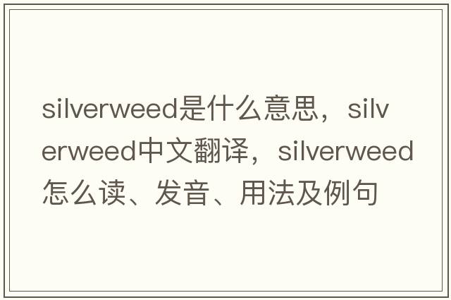 silverweed是什么意思，silverweed中文翻譯，silverweed怎么讀、發(fā)音、用法及例句