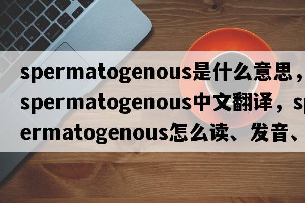 spermatogenous是什么意思，spermatogenous中文翻譯，spermatogenous怎么讀、發(fā)音、用法及例句