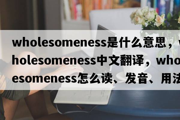 wholesomeness是什么意思，wholesomeness中文翻譯，wholesomeness怎么讀、發(fā)音、用法及例句