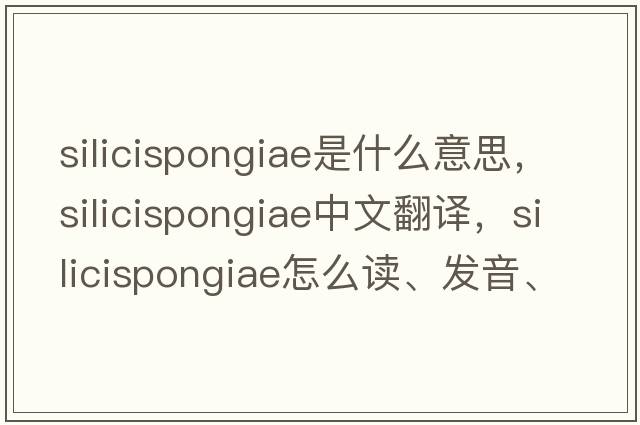 Silicispongiae是什么意思，Silicispongiae中文翻譯，Silicispongiae怎么讀、發(fā)音、用法及例句
