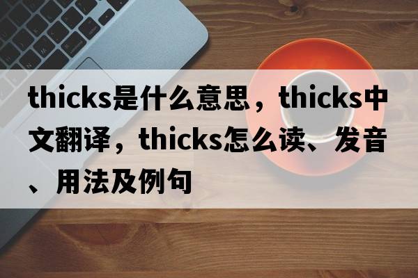 Thicks是什么意思，Thicks中文翻譯，Thicks怎么讀、發(fā)音、用法及例句