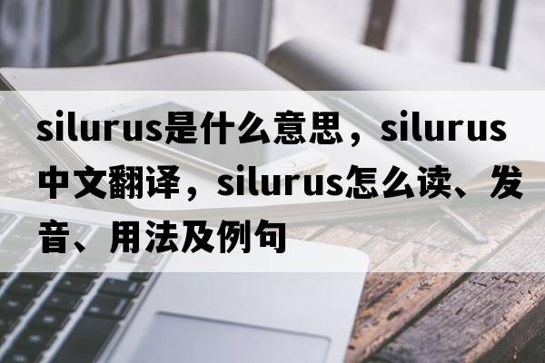 silurus是什么意思，silurus中文翻譯，silurus怎么讀、發(fā)音、用法及例句