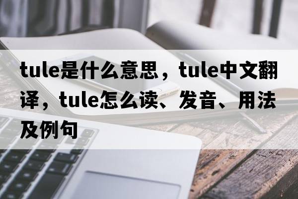 tule是什么意思，tule中文翻譯，tule怎么讀、發(fā)音、用法及例句