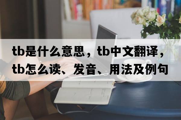 tb是什么意思，tb中文翻譯，tb怎么讀、發(fā)音、用法及例句