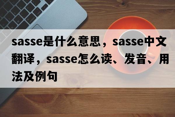 sasse是什么意思，sasse中文翻譯，sasse怎么讀、發(fā)音、用法及例句