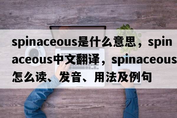 spinaceous是什么意思，spinaceous中文翻譯，spinaceous怎么讀、發(fā)音、用法及例句