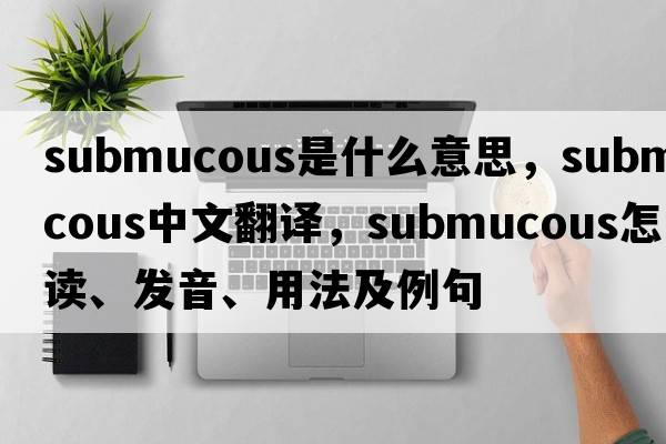 submucous是什么意思，submucous中文翻譯，submucous怎么讀、發(fā)音、用法及例句
