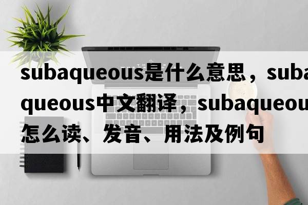 subaqueous是什么意思，subaqueous中文翻譯，subaqueous怎么讀、發(fā)音、用法及例句