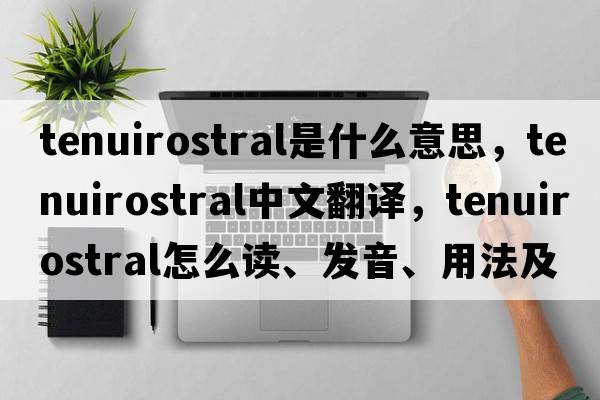 tenuirostral是什么意思，tenuirostral中文翻譯，tenuirostral怎么讀、發(fā)音、用法及例句