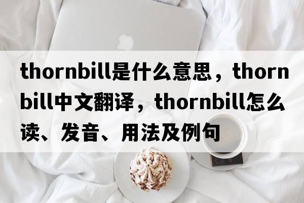 thornbill是什么意思，thornbill中文翻譯，thornbill怎么讀、發(fā)音、用法及例句