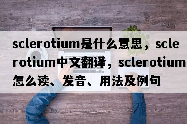 sclerotium是什么意思，sclerotium中文翻譯，sclerotium怎么讀、發(fā)音、用法及例句