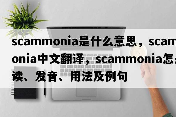 scammonia是什么意思，scammonia中文翻譯，scammonia怎么讀、發(fā)音、用法及例句