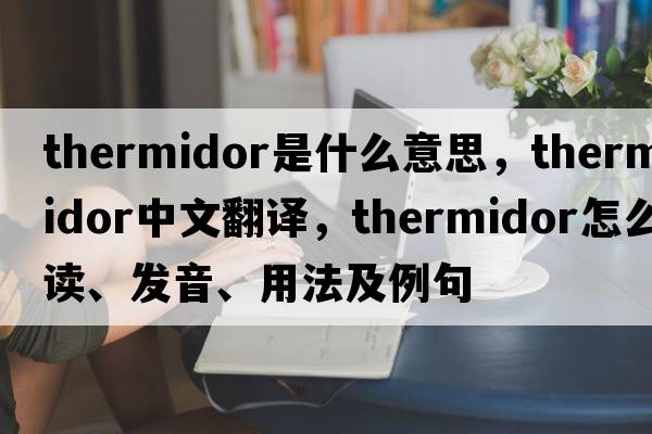 Thermidor是什么意思，Thermidor中文翻譯，Thermidor怎么讀、發(fā)音、用法及例句