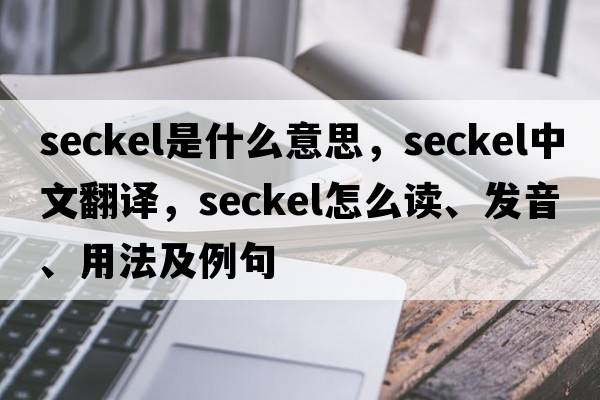 Seckel是什么意思，Seckel中文翻譯，Seckel怎么讀、發(fā)音、用法及例句
