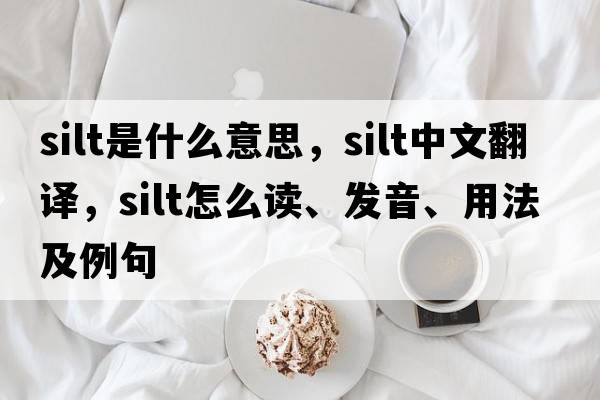 silt是什么意思，silt中文翻譯，silt怎么讀、發(fā)音、用法及例句