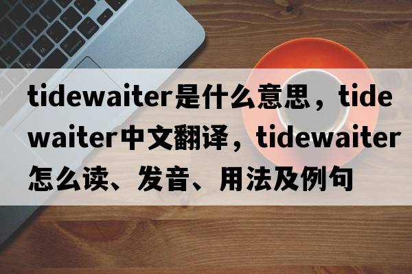 tidewaiter是什么意思，tidewaiter中文翻譯，tidewaiter怎么讀、發(fā)音、用法及例句
