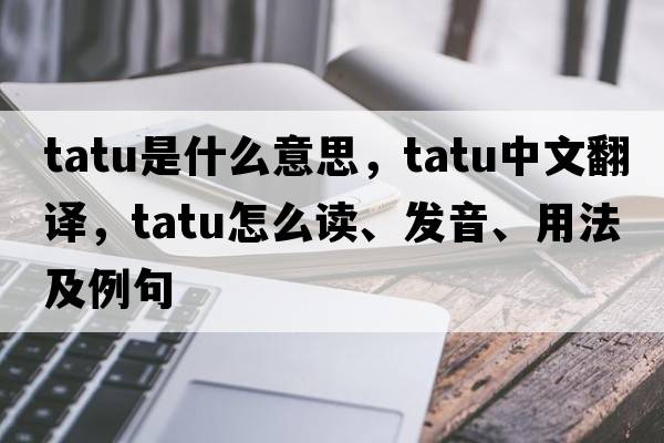 TATU是什么意思，TATU中文翻譯，TATU怎么讀、發(fā)音、用法及例句
