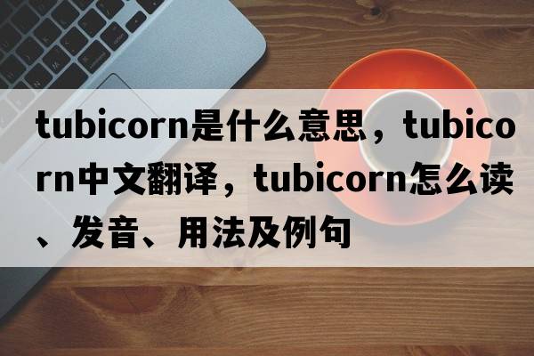 tubicorn是什么意思，tubicorn中文翻譯，tubicorn怎么讀、發(fā)音、用法及例句