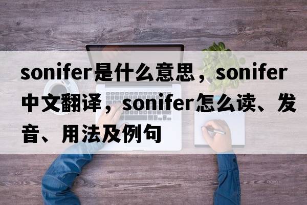 sonifer是什么意思，sonifer中文翻譯，sonifer怎么讀、發(fā)音、用法及例句