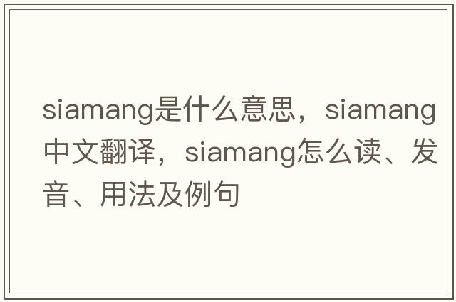 siamang是什么意思，siamang中文翻譯，siamang怎么讀、發(fā)音、用法及例句