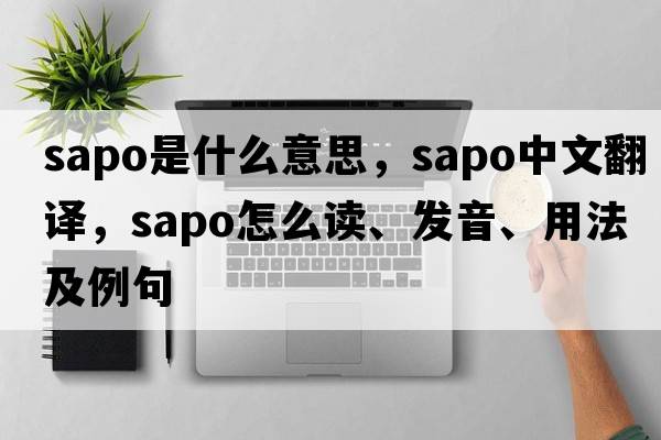 sapo是什么意思，sapo中文翻譯，sapo怎么讀、發(fā)音、用法及例句
