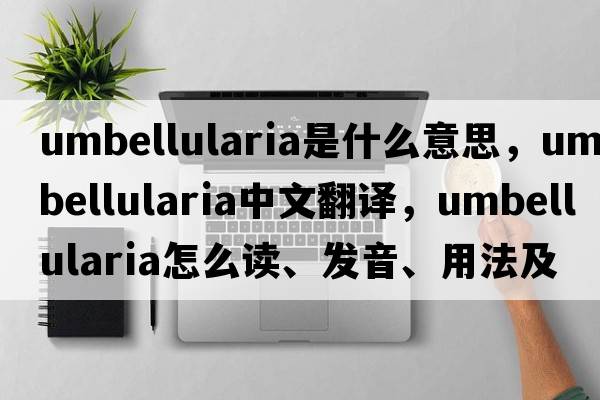 Umbellularia是什么意思，Umbellularia中文翻譯，Umbellularia怎么讀、發(fā)音、用法及例句