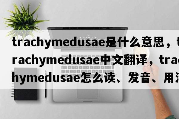 Trachymedusae是什么意思，Trachymedusae中文翻譯，Trachymedusae怎么讀、發(fā)音、用法及例句