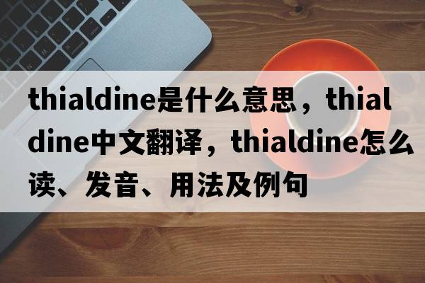 thialdine是什么意思，thialdine中文翻譯，thialdine怎么讀、發(fā)音、用法及例句